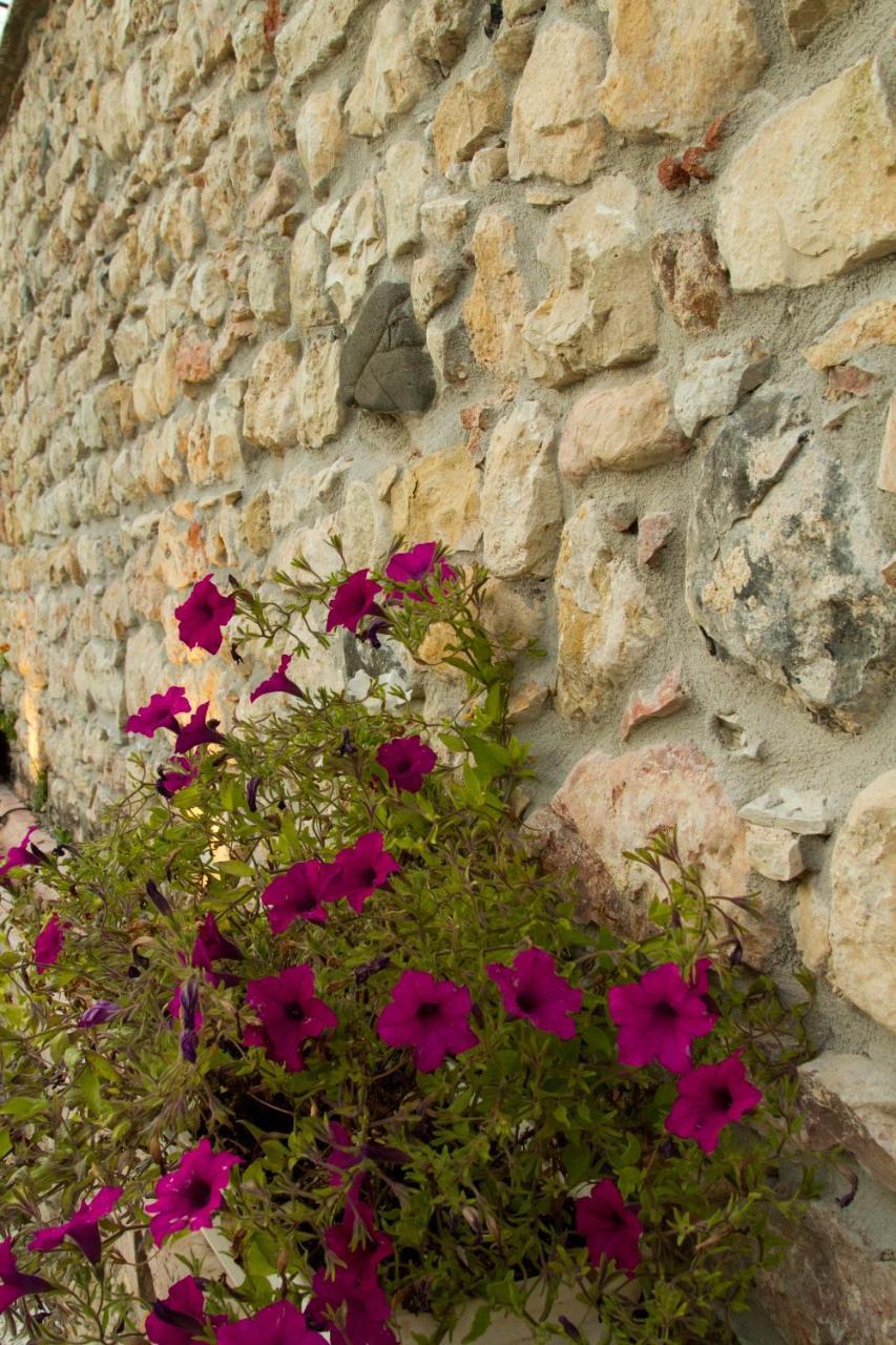 Villa Di Cazzano - Bioluxury Living Soave  Exterior photo